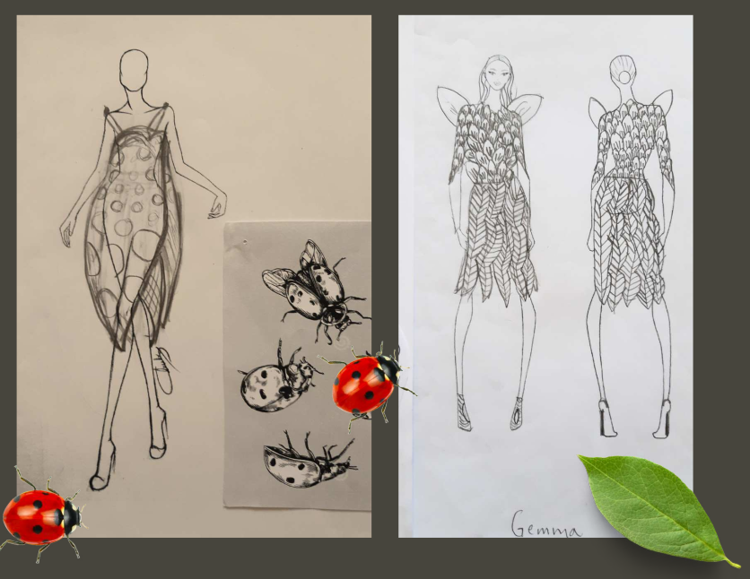 Fashion & Stylist (12301)