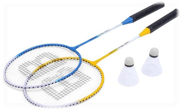 Badminton (11201)