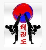 Taekwon Do (21108)